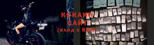 твердый Аркадак