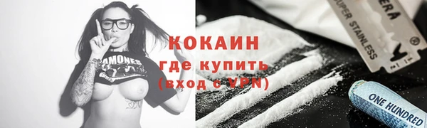 дживик Алексин