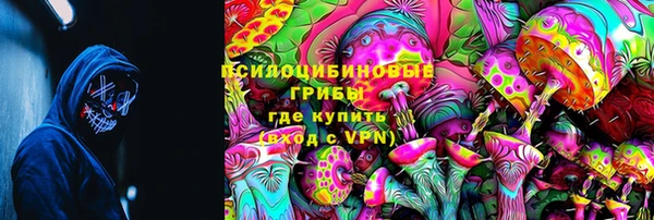 дживик Алексин