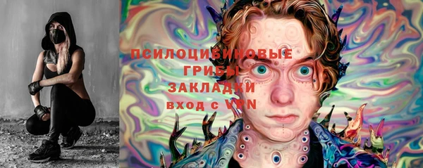 твердый Аркадак