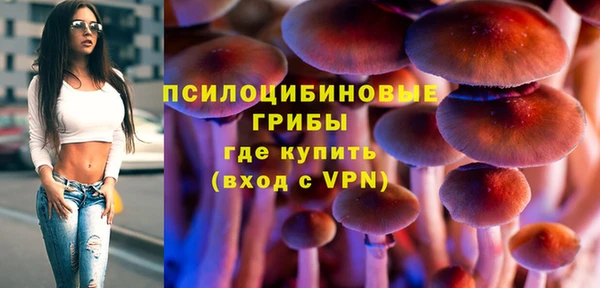 МДПВ Армянск